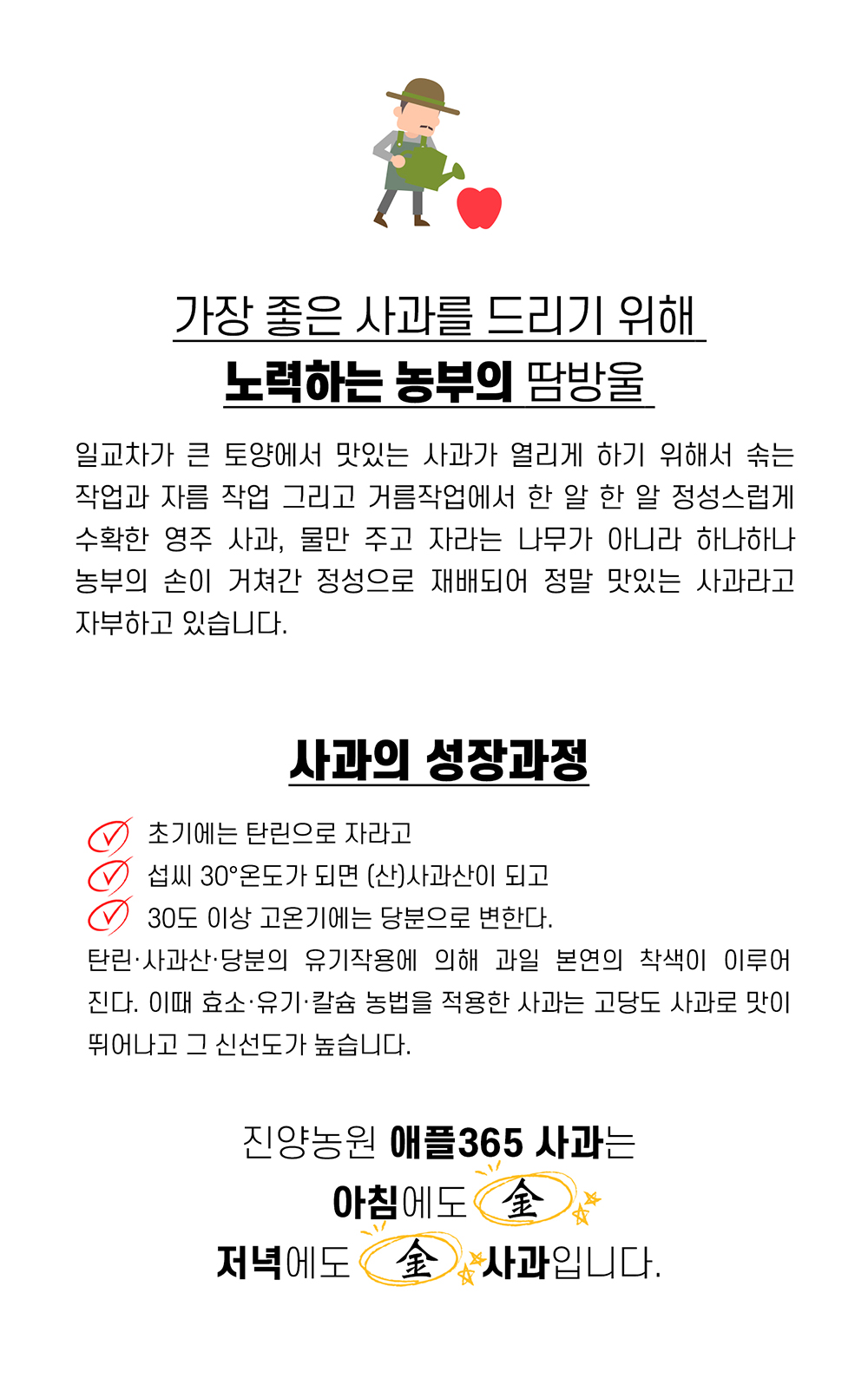 소백산 김기복 영주 사과 특13-14과(5kg)