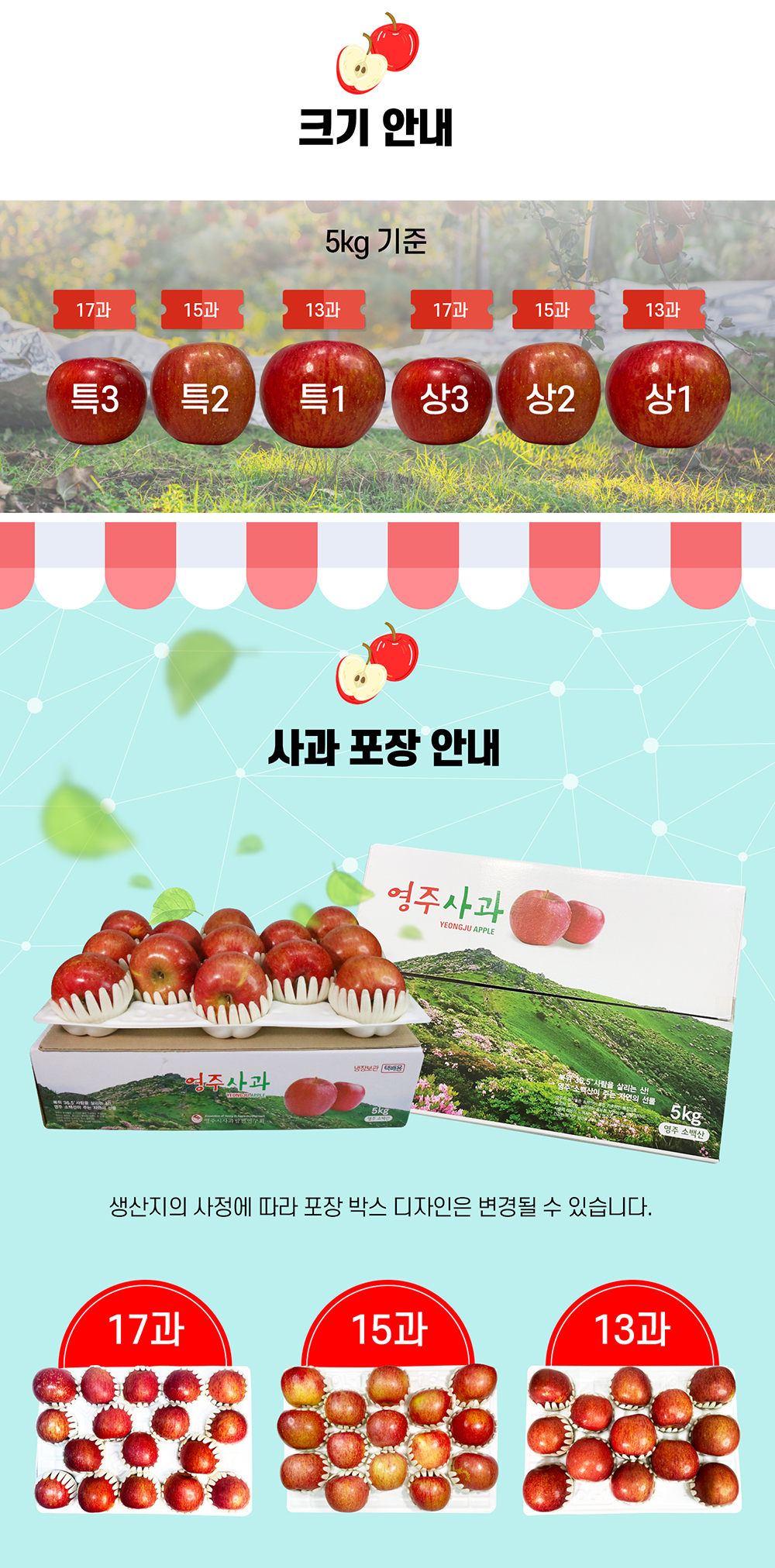 소백산 김기복 영주 사과 특13-14과(5kg)
